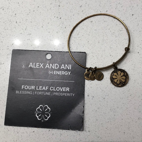 Alex and Ani bracelet - Picture 1 of 3